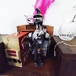 Ca' Porpora *